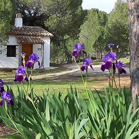 Casitas La Purisima Macho